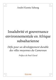 Insalubrité et gouvernance environnementale en Afrique subsaharienne