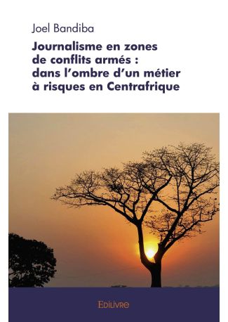 Journalisme en zones de conflits armés : dans l'ombre d'un métier à risques en Centrafrique