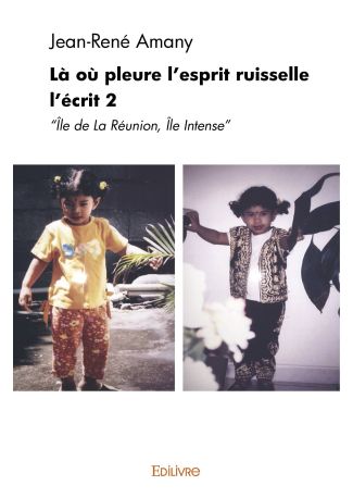 Là où l'esprit pleure ruisselle - Tome 2