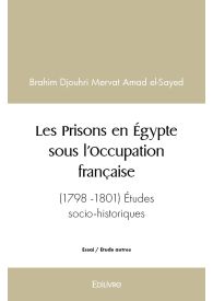 Les Prisons en Égypte sous l’Occupation française