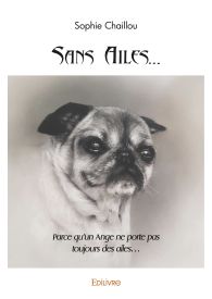 Sans Ailes...