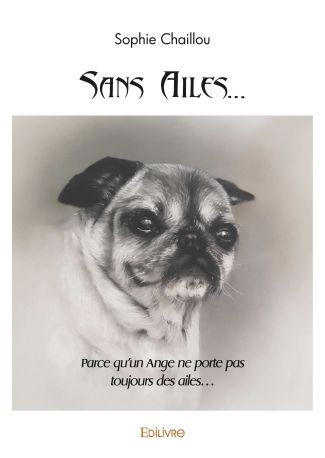 Sans Ailes...