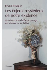 Les Enjeux mystérieux de notre existence