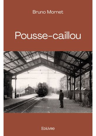 Pousse-caillou