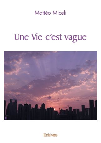 Une Vie c'est vague