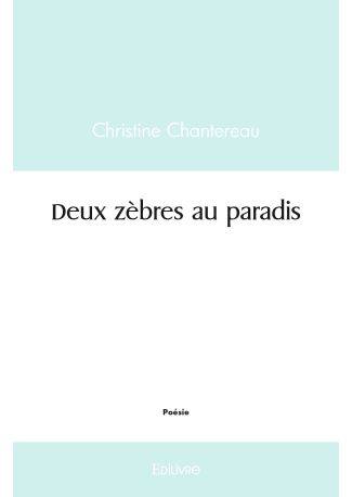 Deux zèbres au paradis