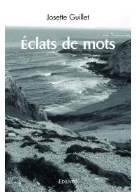 Éclats de mots