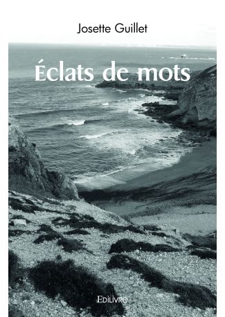 Éclats de mots