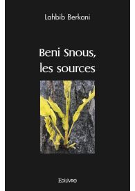 Beni Snous, les sources