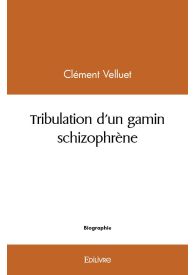 Tribulation d'un gamin schizophrène