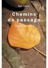 Chemins de passage - Tome 2
