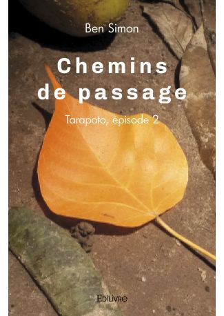 Chemins de passage - Tome 2
