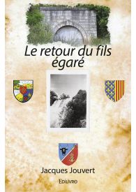 Le retour du fils égaré