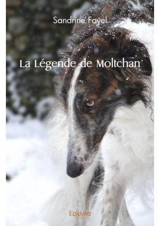 La Légende de Moltchan