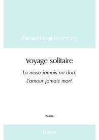 Voyage solitaire