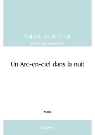 Un Arc-en-ciel dans la nuit