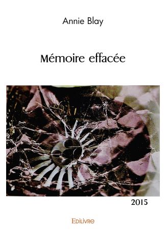 Mémoire effacée