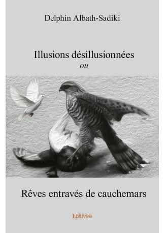 Illusions désillusionnées
