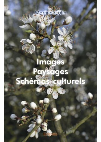 Images, paysages, schémas-culturels