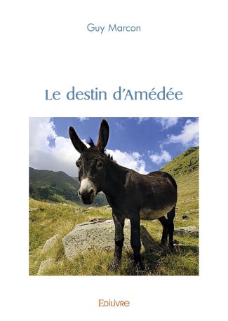 Le destin d'Amédée