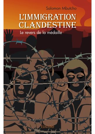 L'immigration clandestine