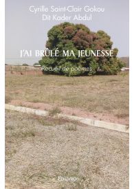 J'ai brûlé ma jeunesse