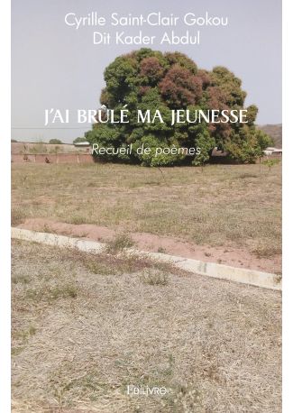 J'ai brûlé ma jeunesse