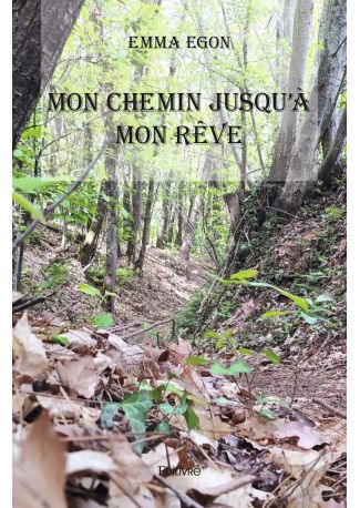 Mon chemin jusqu'à mon rêve