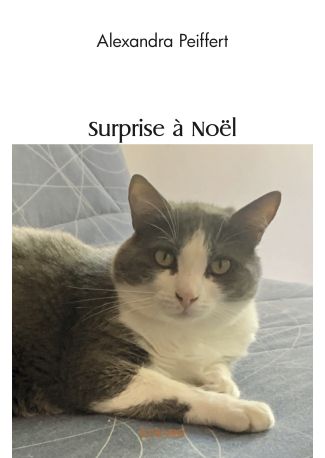 Surprise à Noël