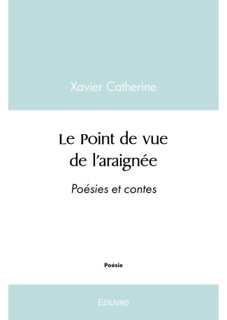 Le Point de vue de l'araignée