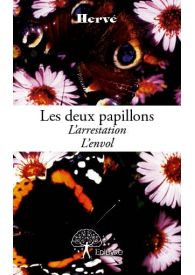 Les deux papillons