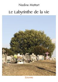 Le Labyrinthe de la vie