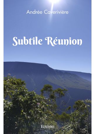 Subtile Réunion