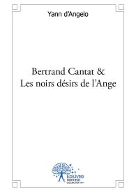 Bertrand Cantat & Les noirs désirs de l'Ange