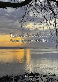 Recueil de poésies : Nostalgies plurielles