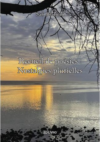Recueil de poésies : Nostalgies plurielles