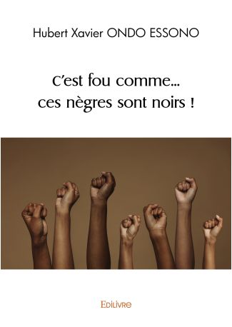 C'est fou comme... ces nègres sont noirs !