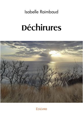 Déchirures