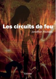 Les circuits de feu