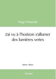 J'ai vu à l'horizon s'allumer des lumières vertes