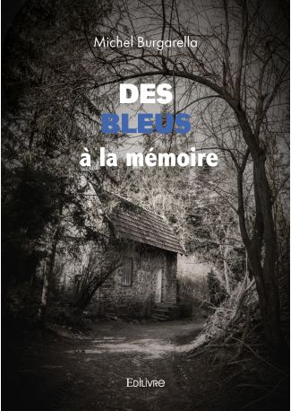 Des Bleus à la mémoire