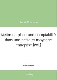 Mettre en place une comptabilité dans une petite et moyenne entreprise (PME)