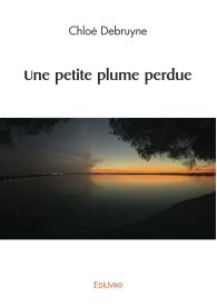 Une petite plume perdue