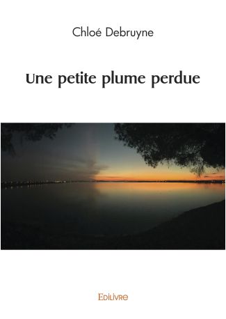 Une petite plume perdue