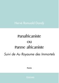 Panafricaniste ou Panne africaniste