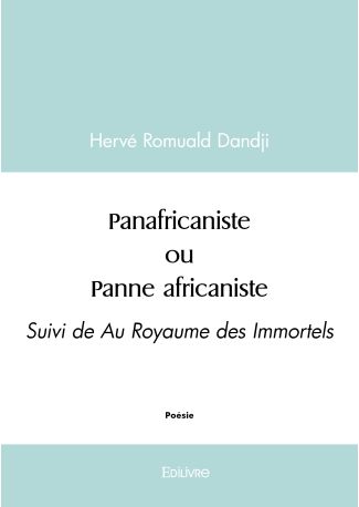 Panafricaniste ou Panne africaniste