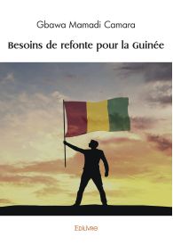 Besoins de refonte pour la Guinée