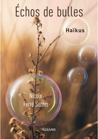 Échos de bulles