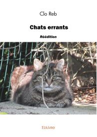 Chats errants - réédition