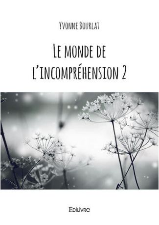 Le monde de l'incompréhension 2